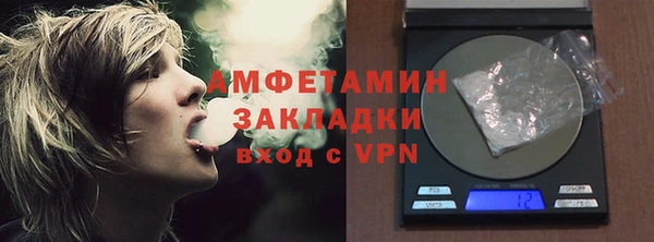 прущие грибы Ступино