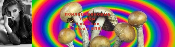 MESCALINE Верея
