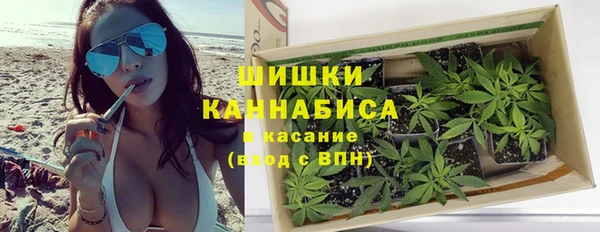 стаф Струнино