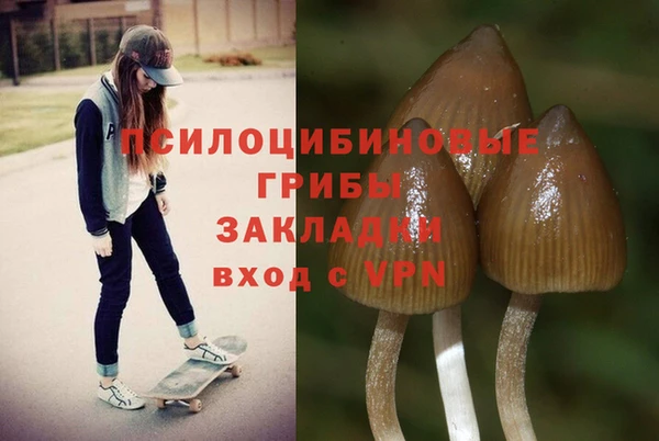 стаф Струнино